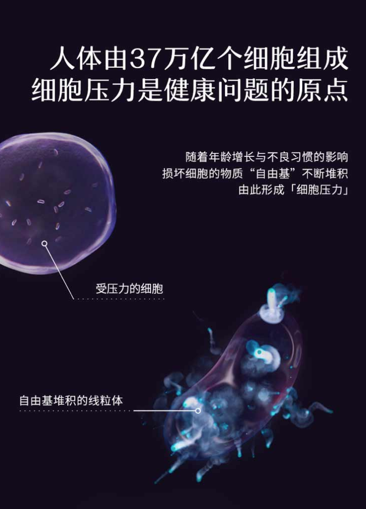 衰老，是细胞层面的“慢性损伤”。