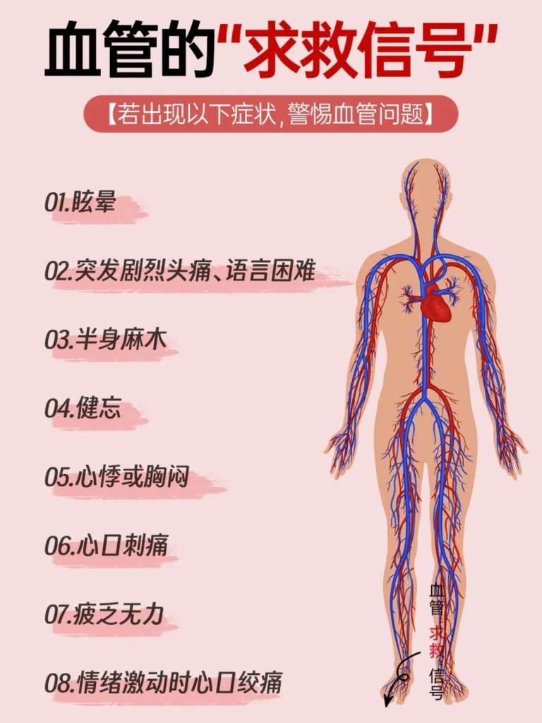 今日科普：血管健康的重要性