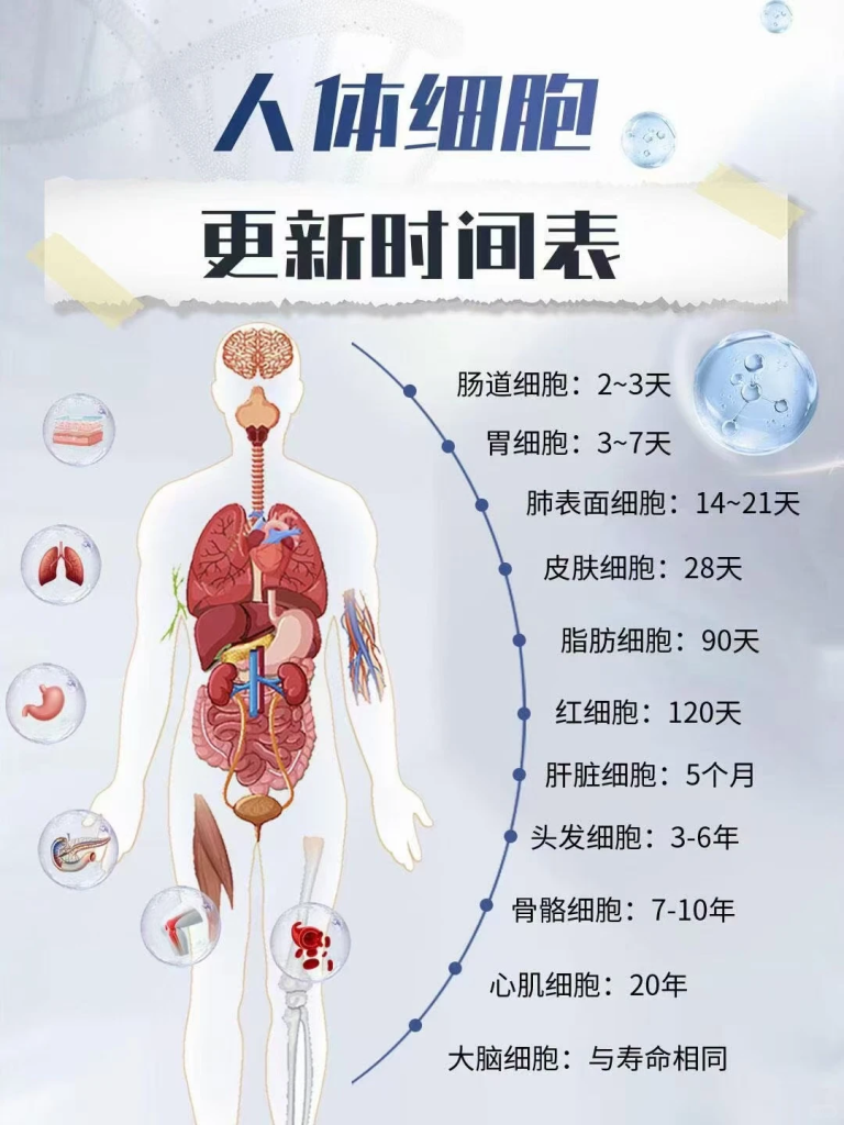 今日主题：为什么说健康从细胞开始?