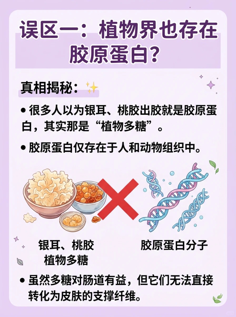 今日科普：补胶原一定要知道的4个误区！