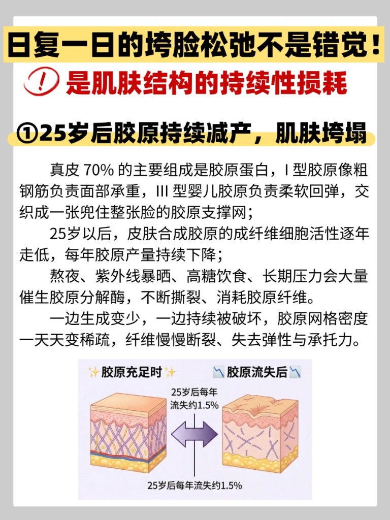今日科普：别等胶原透支，防垮要趁早！
