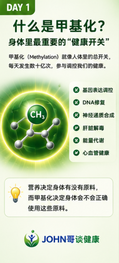 为什么有人吃得一样，却老得更快？原因可能在”甲基化”！