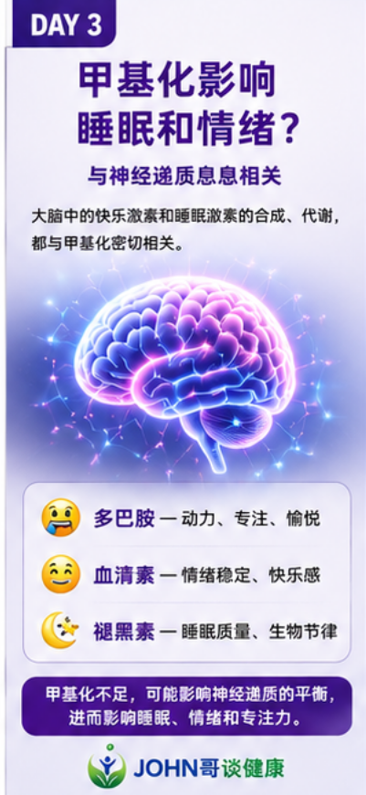 焦虑、失眠、注意力差，可能和甲基化有关？