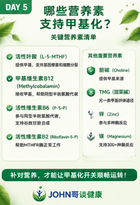 想让身体的”健康开关”正常工作，这几种营养很关键！